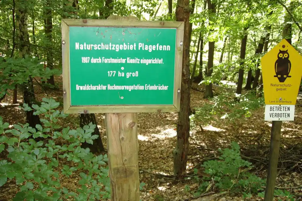 Schild Naturschutzgebiet am Rand eines Waldes in Brandenburg