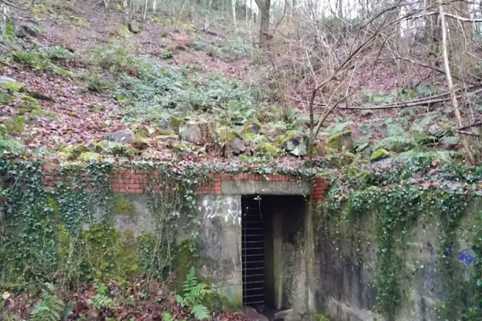 Vergittertes Mundloch eines alten Bergbaustollens im Hang